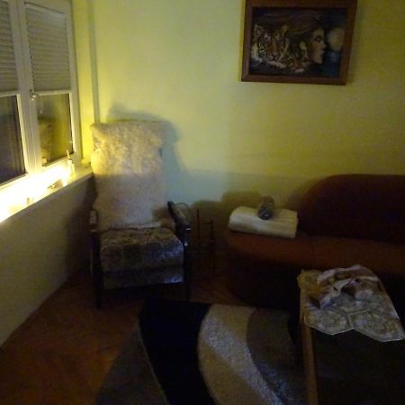 Apartment Tjasa Радовлица Экстерьер фото